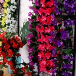 HANGROSE