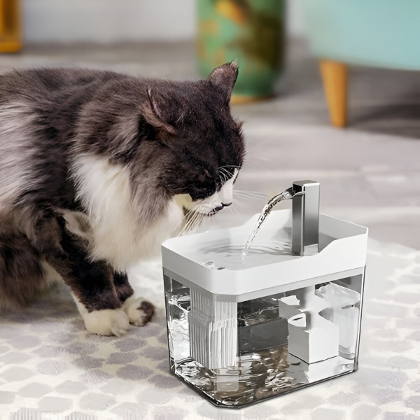PETSPRINGLE