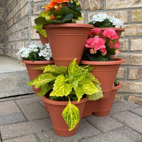PLANTUP potter