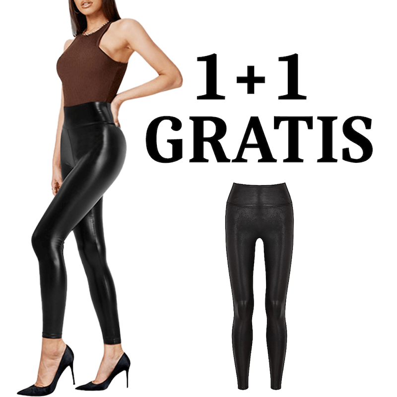 N2erofit